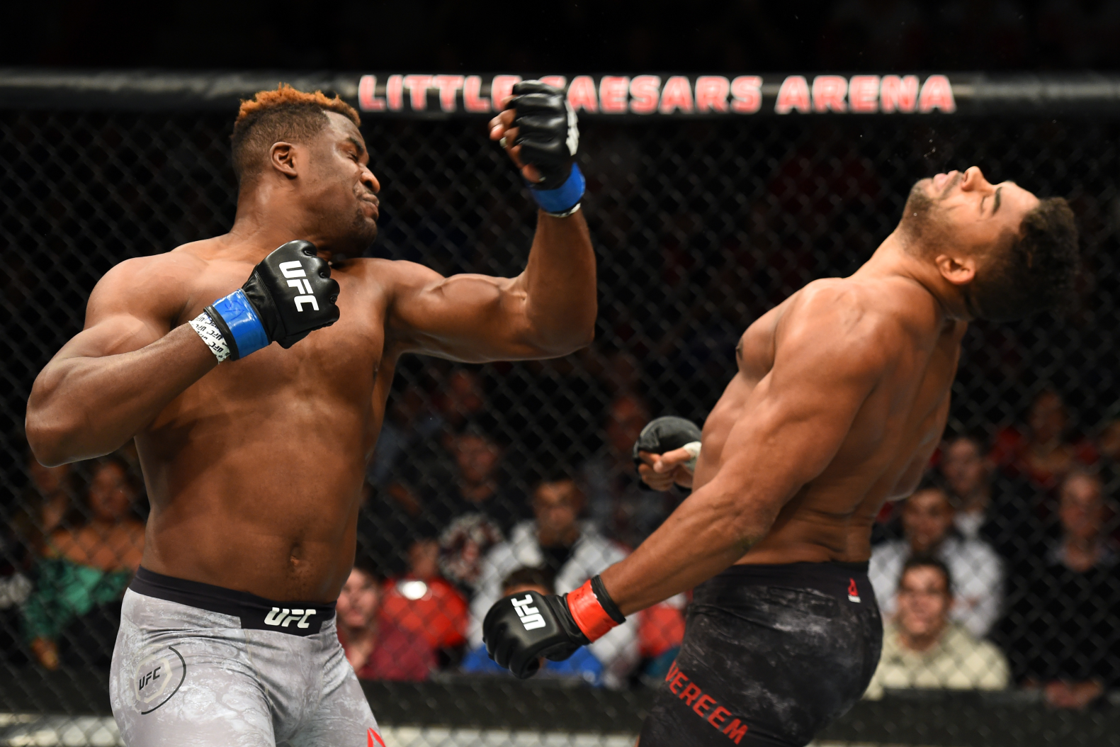 Hardest Hitters in UFC: The Top 10 UFC Fighters with the Most Devastating Knockout Power